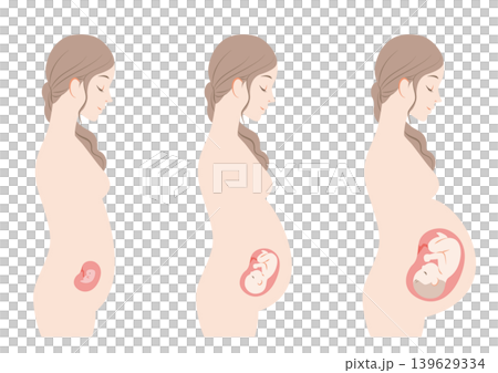 妊娠している女性　初期・中期・後期 139629334