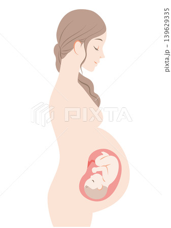 妊娠している女性 妊娠している女性 139629335