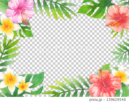 水彩芙蓉花畫框 水彩芙蓉花畫框 139629548