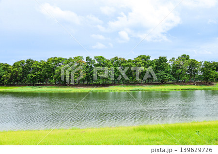 緑に囲まれた池のある風景 緑に囲まれた池のある風景 139629726