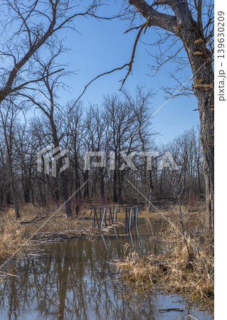 Flooded Woodland Trail With Small Bridge 139630209