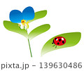 つゆ草とテントウムシのベクターイラスト 139630486