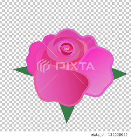 Pink rose flower illustration Pink rose flower illustration 139630635