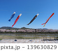 田布施川の桜並木に泳ぐ鯉のぼり②(山口県田布施町) 139630829