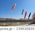田布施川の桜並木に泳ぐ鯉のぼり①(山口県田布施町) 139630830