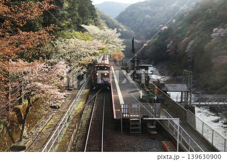 嵯峨野観光鉄道のトロッコ保津峡駅 嵯峨野観光鉄道のトロッコ保津峡駅 139630900