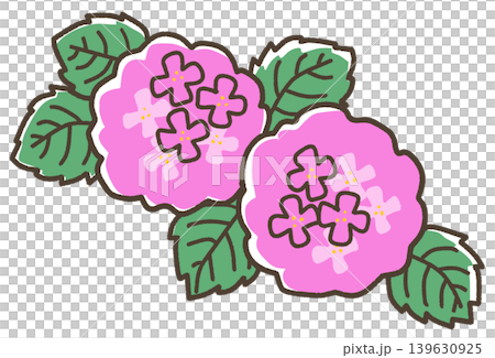 紫色の紫陽花 139630925