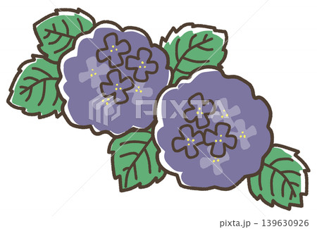 青色の紫陽花 139630926