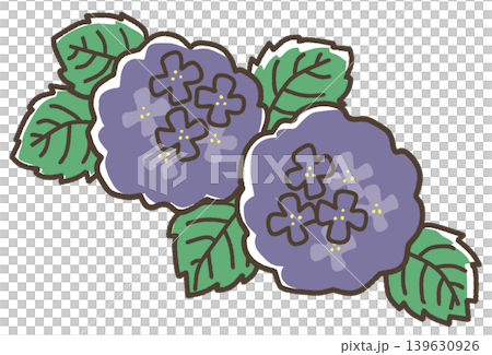 青色の紫陽花 139630926