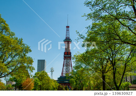 札幌大通公園 テレビ塔 ライラック リラ 札幌大通公園 テレビ塔 ライラック リラ 139630927