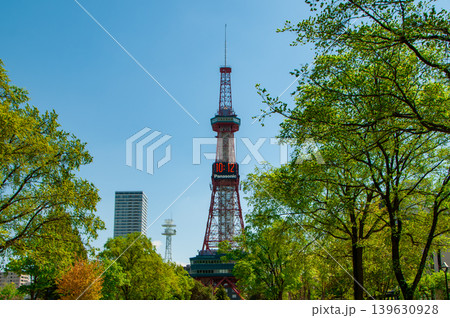 札幌大通公園　テレビ塔　ライラック　リラ　 139630928