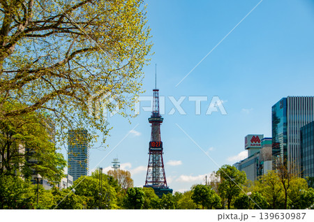 札幌大通公園 テレビ塔 ライラック リラ 札幌大通公園 テレビ塔 ライラック リラ 139630987