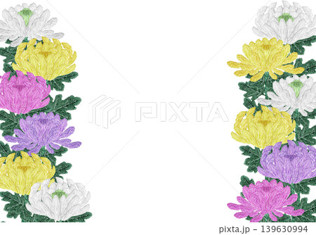 【菊の花の横フレーム】手刺繍イラスト素材 139630994