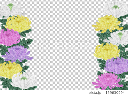 【菊の花の横フレーム】手刺繍イラスト素材 139630994