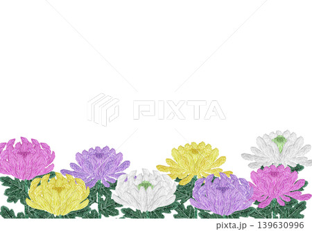 【菊の花の横フレーム】手刺繍イラスト素材 【菊の花の横フレーム】手刺繍イラスト素材 139630996