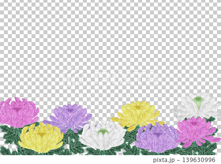 【菊の花の横フレーム】手刺繍イラスト素材 【菊の花の横フレーム】手刺繍イラスト素材 139630996
