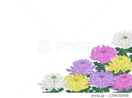 【菊の花の横フレーム】手刺繍イラスト素材 【菊の花の横フレーム】手刺繍イラスト素材 139630998