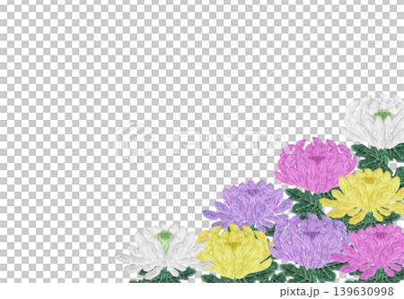 【菊の花の横フレーム】手刺繍イラスト素材 【菊の花の横フレーム】手刺繍イラスト素材 139630998