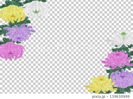 【菊の花の横フレーム】手刺繍イラスト素材 【菊の花の横フレーム】手刺繍イラスト素材 139630999