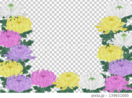【菊の花の横フレーム】手刺繍イラスト素材 【菊の花の横フレーム】手刺繍イラスト素材 139631000