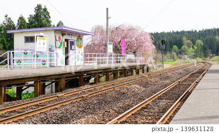 秋田内陸線 かたくり群生の郷 春の八津駅 秋田内陸線 かたくり群生の郷 春の八津駅 139631128