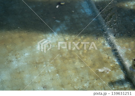 屋外で貼った氷のイメージ 屋外で貼った氷のイメージ 139631251