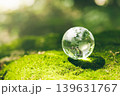 Crystal earth in forest Environment, save world, earth day and conservation and renewable energy concept. 139631767