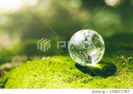 Crystal earth in forest Environment, save world, earth day and conservation and renewable energy concept. Crystal earth in forest Environment, save world, earth day and conservation and renewable energy concept. 139631767