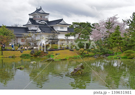富山県 富山城の桜 富山県 富山城の桜 139631981