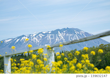 岩手県 小岩井の春のイメージ画像 岩手県 小岩井の春のイメージ画像 139632147