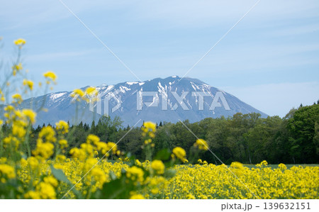 岩手県 小岩井の春のイメージ画像 岩手県 小岩井の春のイメージ画像 139632151