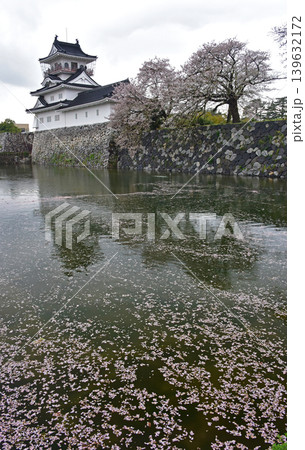 富山県　富山城の桜 139632172