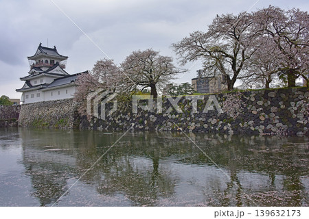 富山県 富山城の桜 富山県 富山城の桜 139632173