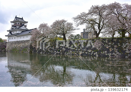 富山県　富山城の桜 139632174