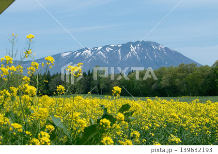 岩手県 小岩井の春のイメージ画像 岩手県 小岩井の春のイメージ画像 139632193