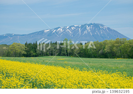 岩手県 小岩井の春のイメージ画像 岩手県 小岩井の春のイメージ画像 139632195
