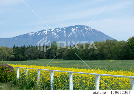 岩手県 小岩井の春のイメージ画像 岩手県 小岩井の春のイメージ画像 139632367
