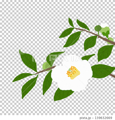 Sara's Flower 139632669