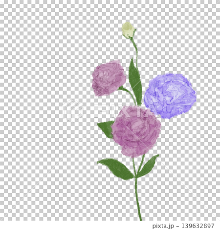 花卉插圖：土耳其風鈴草 139632897