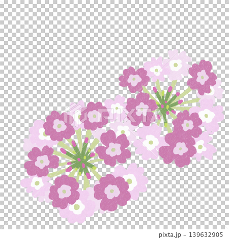 Flower illustration: Verbena Flower illustration: Verbena 139632905