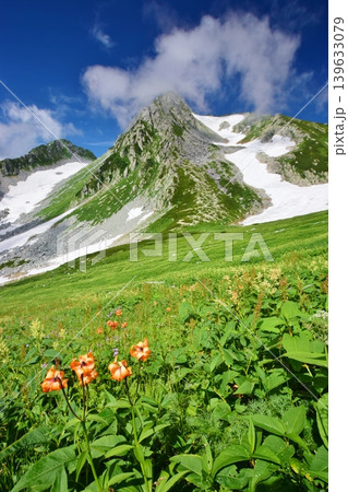 花咲き誇る立山連峰の夏 花咲き誇る立山連峰の夏 139633079