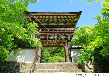 新緑の長岳寺 139634044