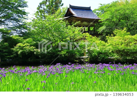 新緑の長岳寺 139634053
