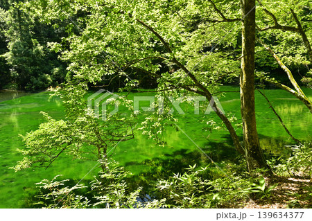 津南町の龍ヶ窪 津南町の龍ヶ窪 139634377