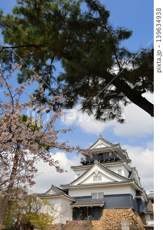 岡崎城公園の春 岡崎城公園の春 139634938