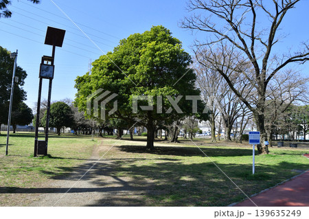 川口市三ツ和公園_ウォーキングコース_03 川口市三ツ和公園_ウォーキングコース_03 139635249