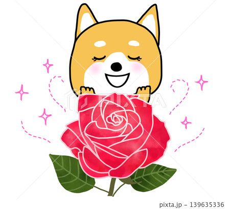 美しいバラの香りにうっとりするしばいぬ 139635336