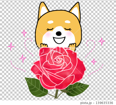 美しいバラの香りにうっとりするしばいぬ 139635336