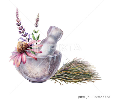 Echinacea, sage and licorice root in stone mortar watercolor. Botanical illustration for immune system medicine packaging, cold defense wellness tea branding, flu remedy container design 139635528