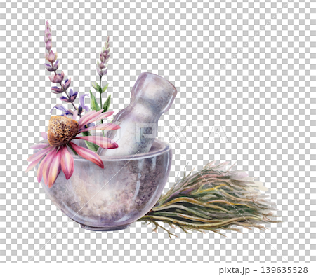 Echinacea, sage and licorice root in stone mortar watercolor. Botanical illustration for immune system medicine packaging, cold defense wellness tea branding, flu remedy container design 139635528